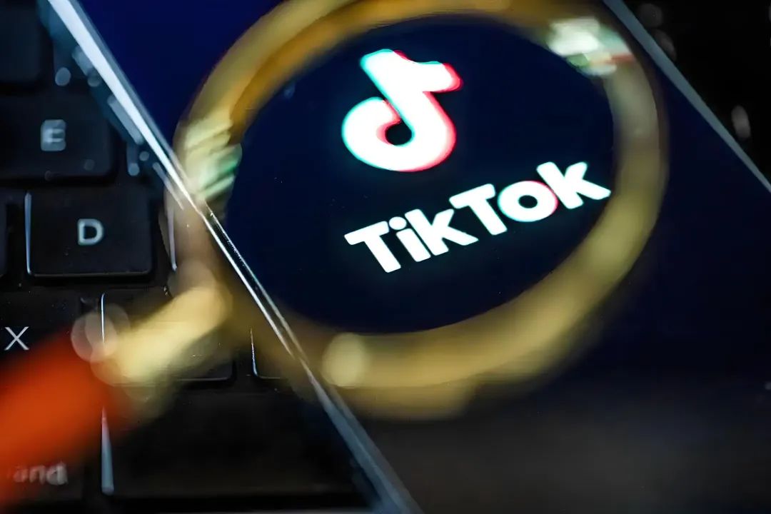 1786694620396671.jpg 001 (13).jpg